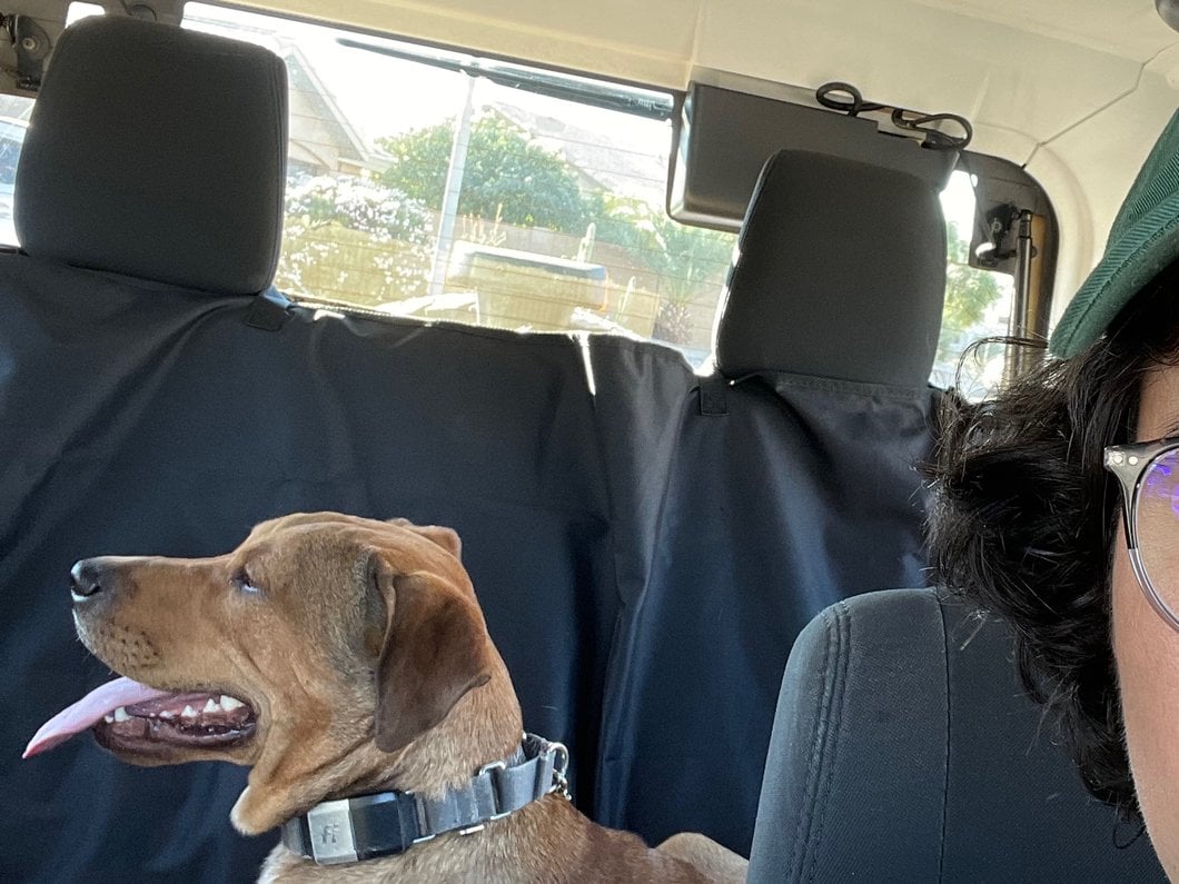 RedRock Waterproof Pet Guard Seat Cover (Universal; Some Adaptation May Be Required)