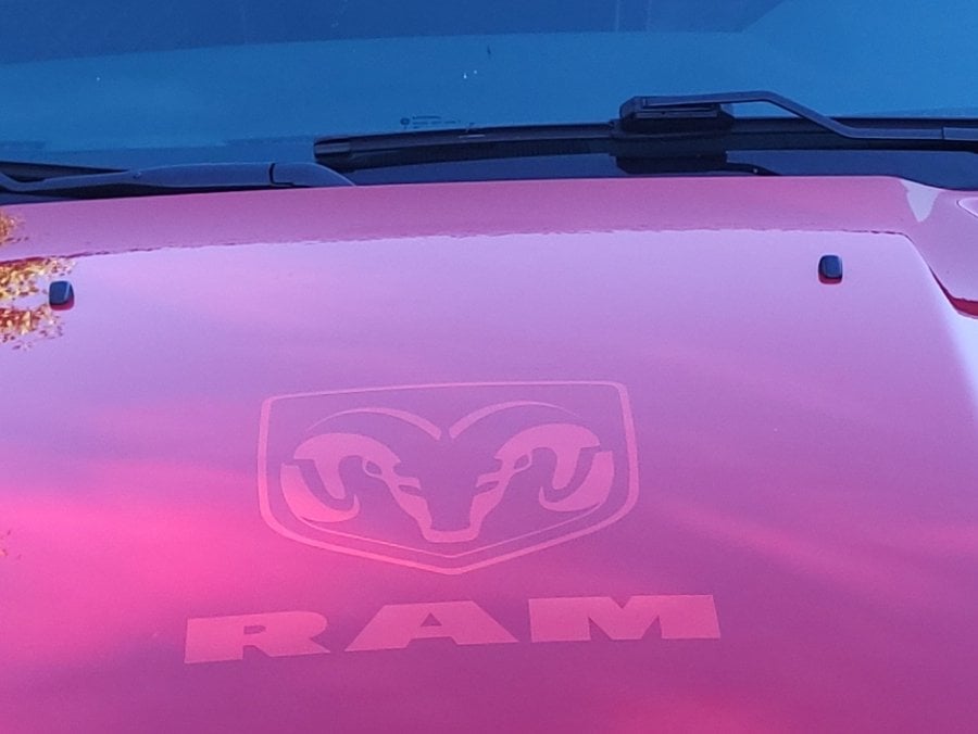 RAM Licensed by RedRock Large RAM Head with Logo; Red (02-18 RAM 1500)