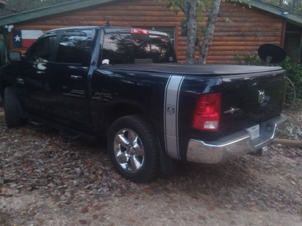 RAM Licensed by RedRock RAM Head Vertical Stripe; Silver (02-18 RAM 1500)