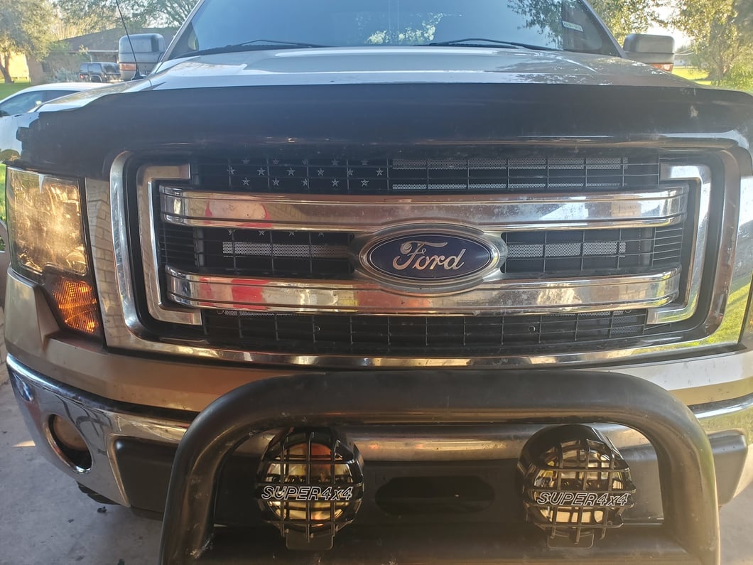 RedRock Grille Insert; Faded Glory (09-14 F-150, Excluding Raptor)