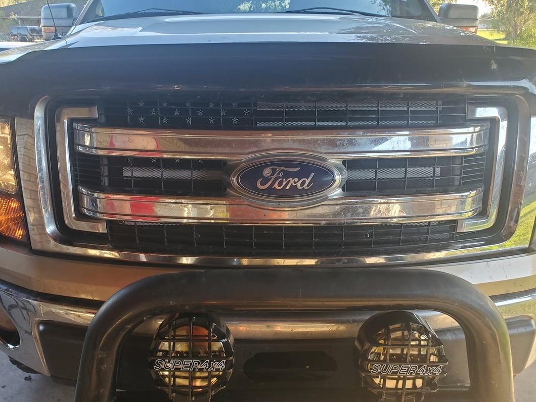 RedRock Grille Insert; Faded Glory (09-14 F-150, Excluding Raptor)