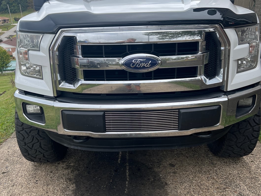 RedRock Modern Billet Lower Grille Insert; Polished (15-17 F-150, Excluding Raptor)