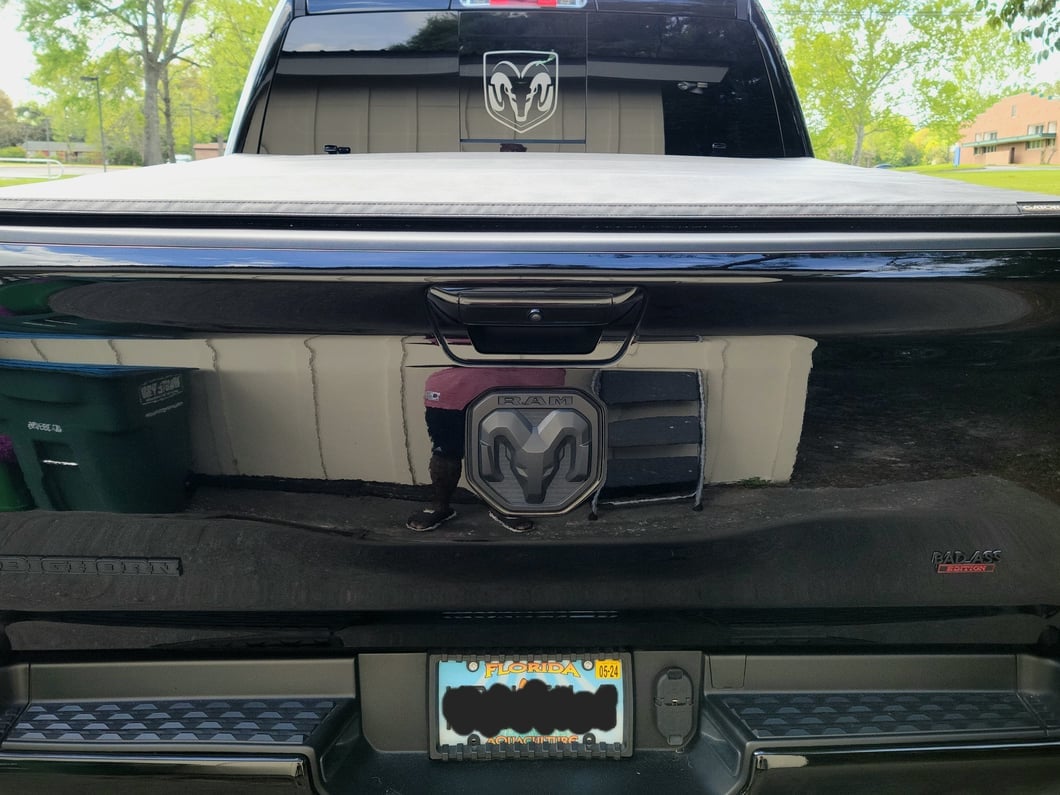 RAM Licensed by RedRock Large RAM Head with Logo; Frosted (02-18 RAM 1500)