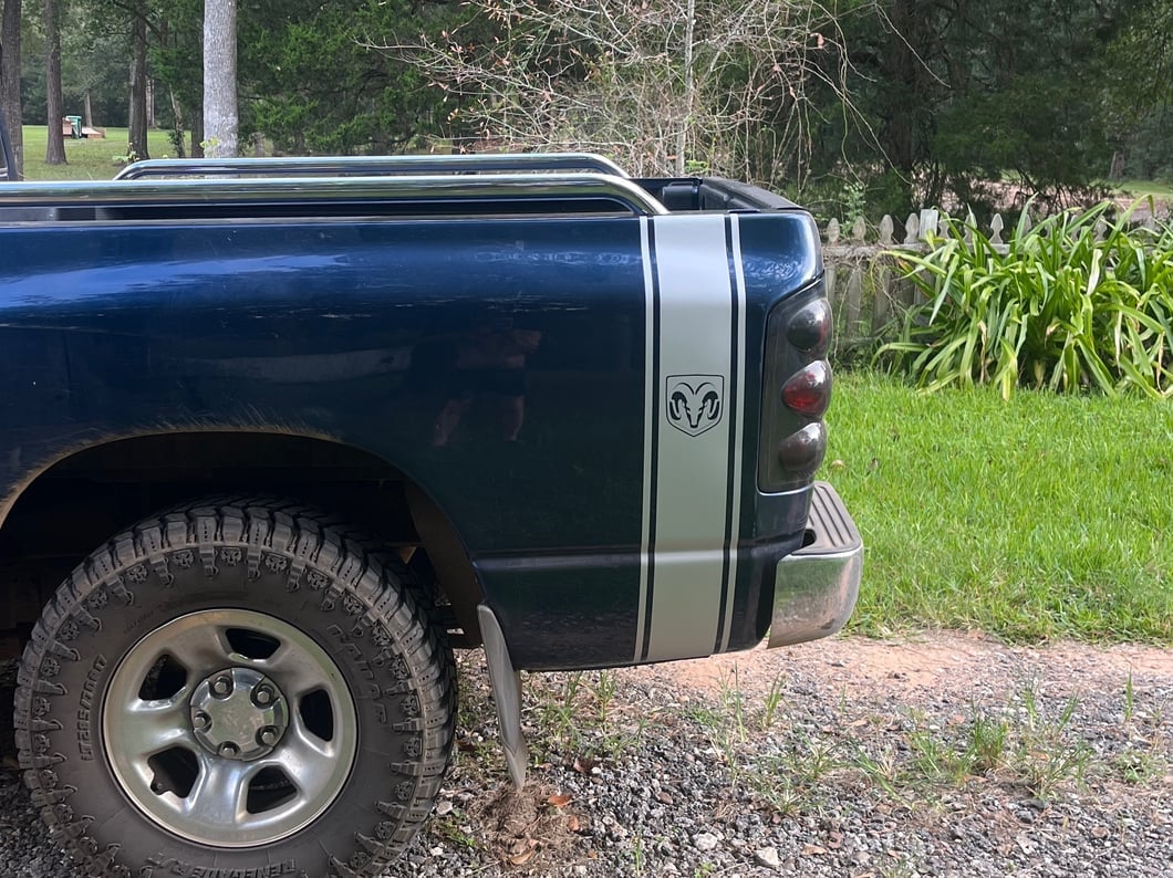 RAM Licensed by RedRock RAM Head Vertical Stripe; Silver (02-18 RAM 1500)