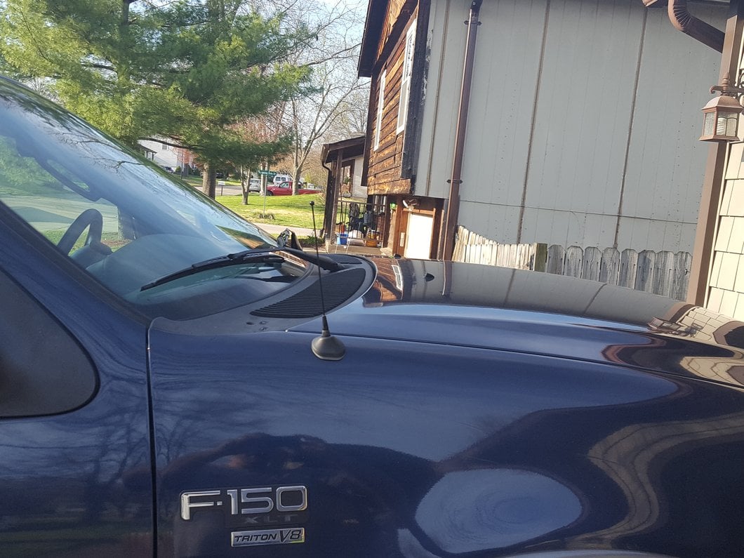 RedRock Fixed Black Antenna; 8-Inch (97-08 F-150)