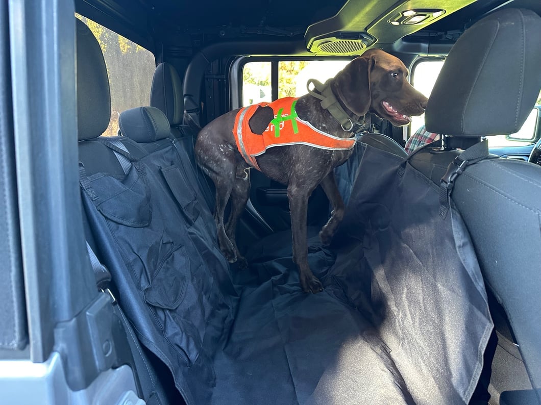 RedRock Waterproof Pet Guard Seat Cover Hammock (Universal; Some Adaptation May Be Required)
