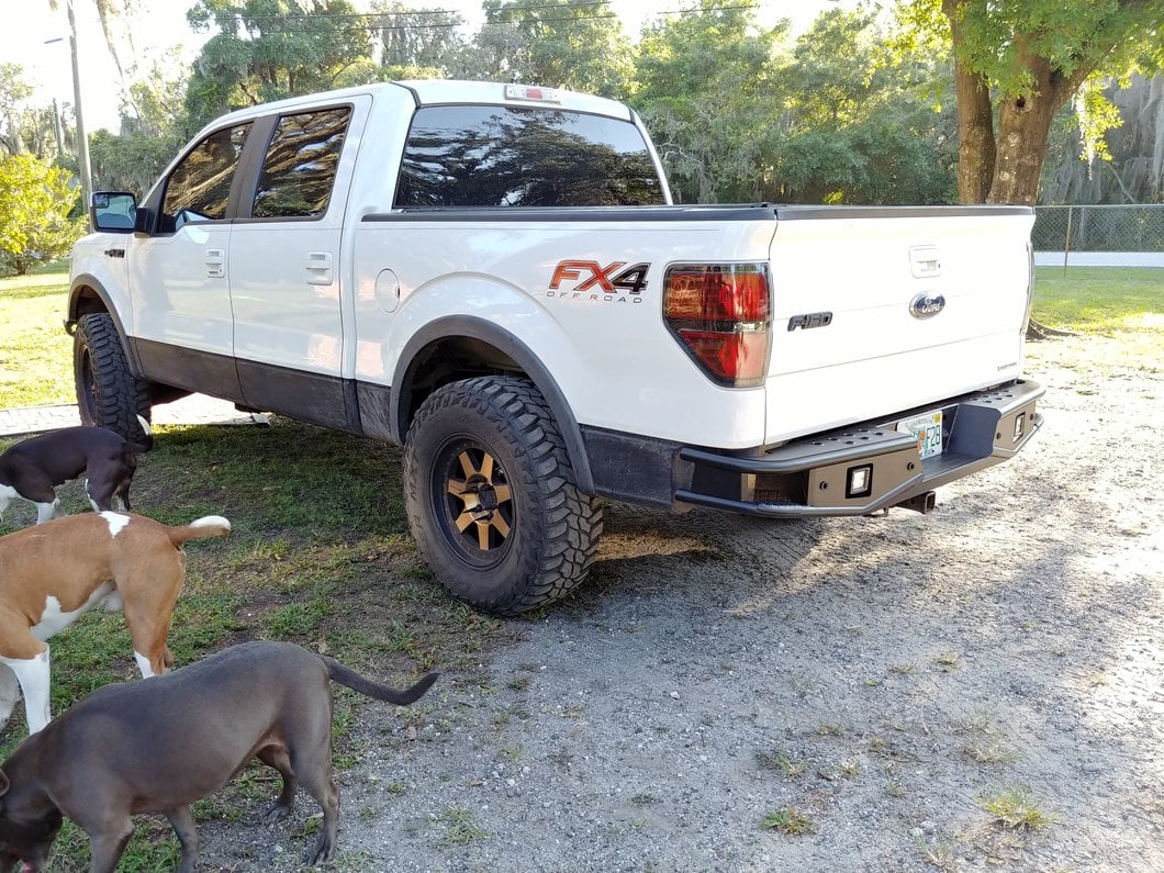 RedRock Tubular Off-Road Rear Bumper with LED Fog Lights (06-14 F-150)