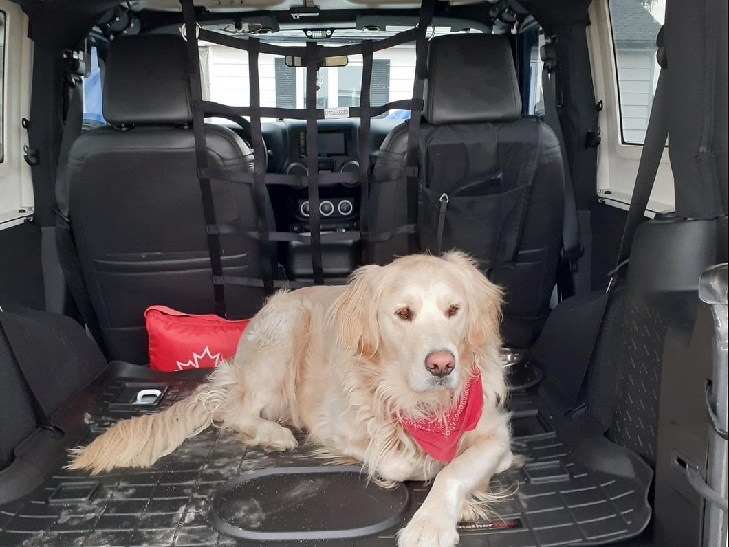 RedRock Front Pet Barrier Net; Black (07-18 Jeep Wrangler JK 2-Door)