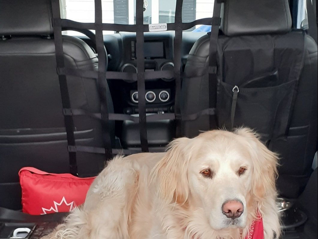 RedRock Front Pet Barrier Net; Black (07-18 Jeep Wrangler JK 2-Door)