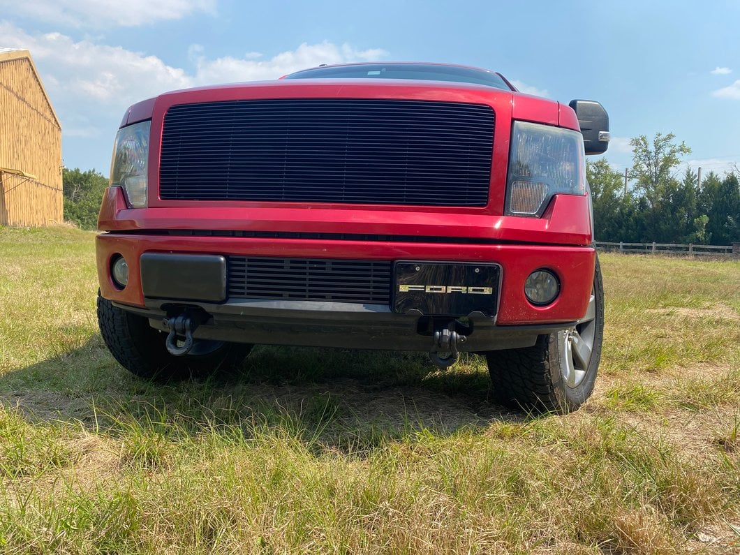 RedRock Stainless Steel License Plate with Silver FORD Lettering (Universal; Some Adaptation May Be Required)