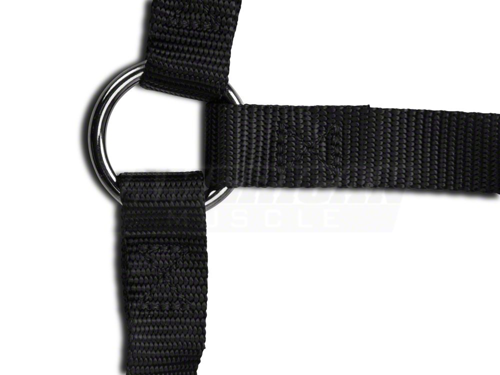 RedRock Front Overhead Net (07-18 Jeep Wrangler JK 4-Door)