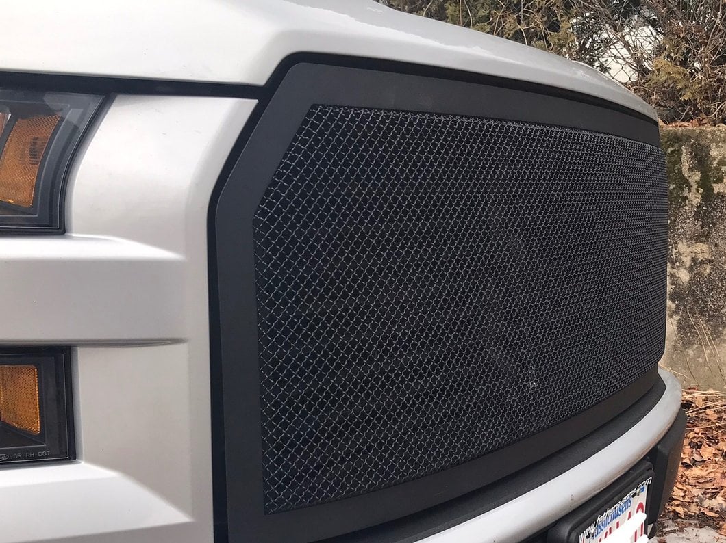 RedRock Wire Mesh Upper Replacement Grille; Black (15-17 F-150, Excluding Raptor)
