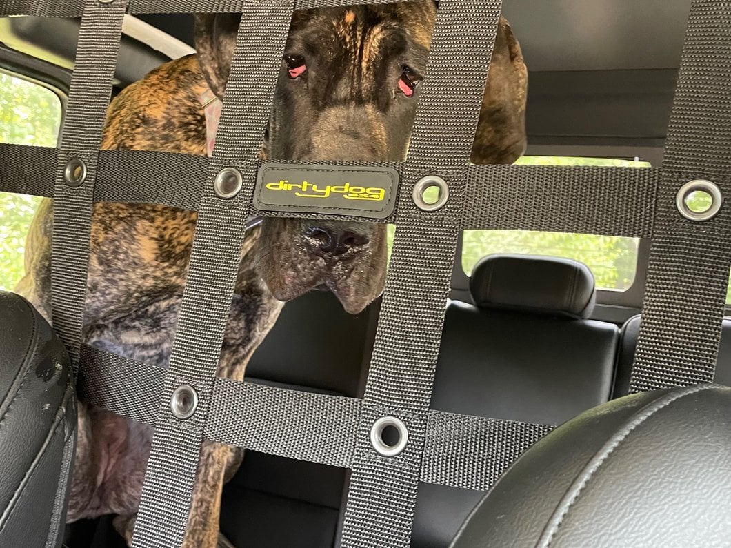 RedRock Cargo Net/Pet Divider; Front Seat (20-25 Jeep Gladiator JT)
