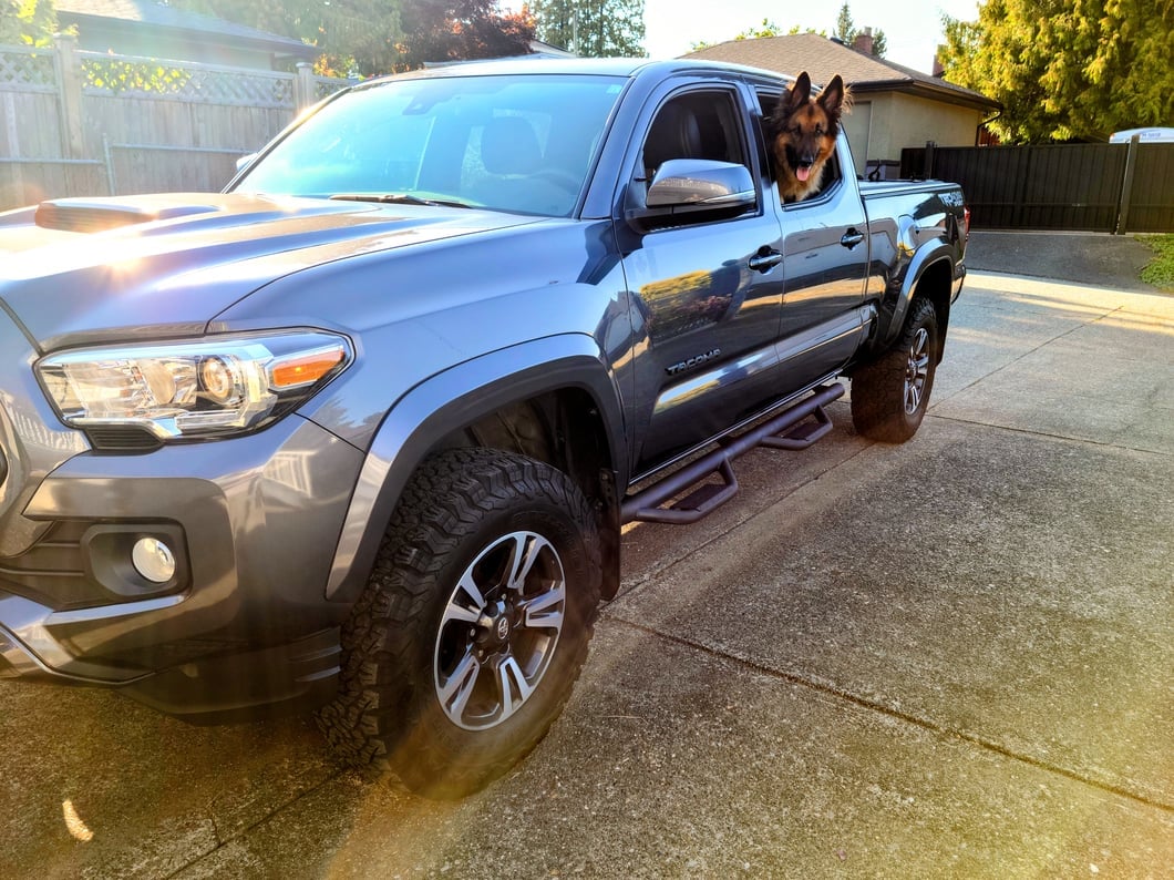 RedRock Predator Side Step Bars (05-23 Tacoma Double Cab)