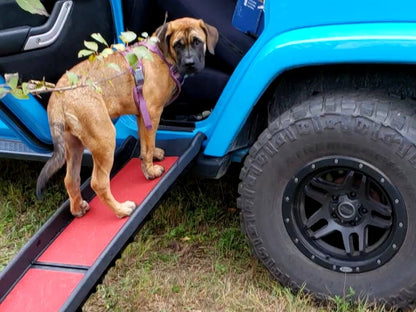 RedRock Easy-Fold Pet Ramp (Universal; Some Adaptation May Be Required)
