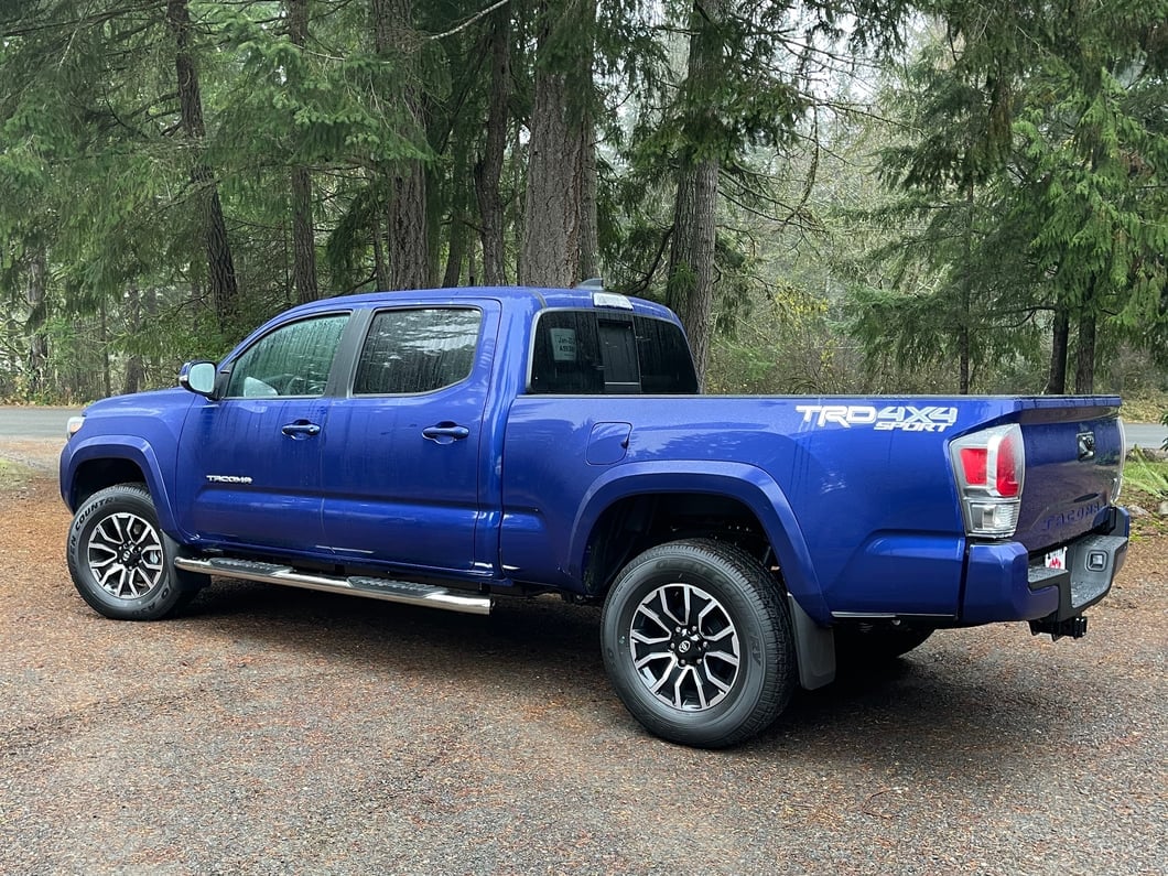 RedRock 5-Inch Oval Bent End Side Step Bars; Stainless Steel (05-23 Tacoma Double Cab)