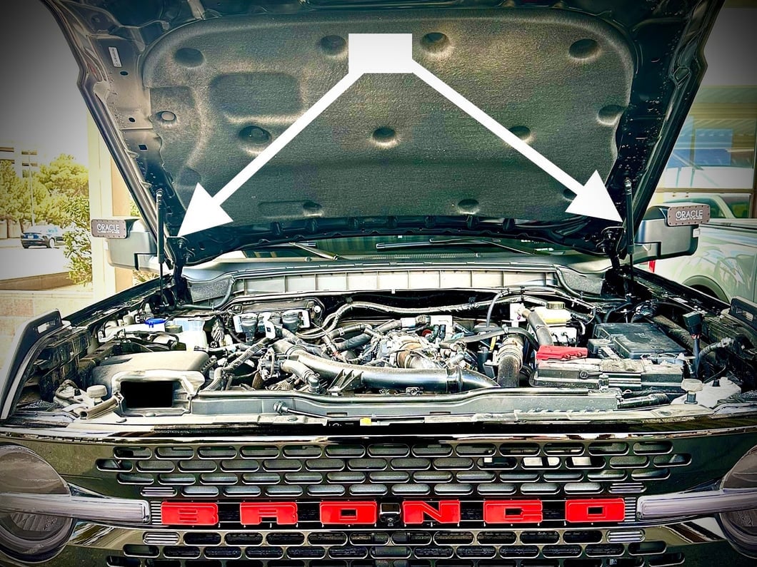 RedRock Hood Lift Supports (21-25 Bronco)
