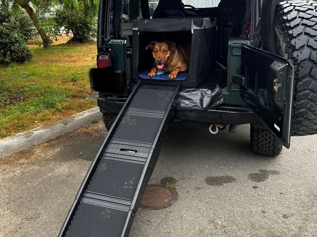 RedRock Easy-Fold Pet Ramp (Universal; Some Adaptation May Be Required)