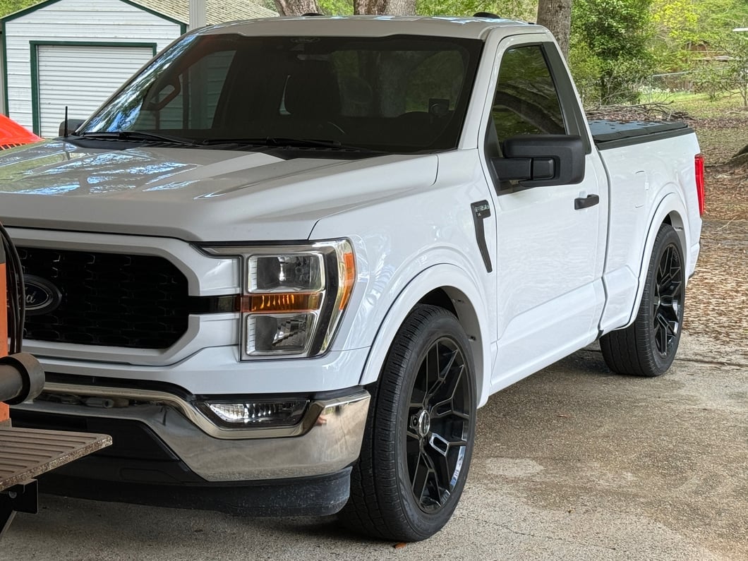 RedRock OE Style Fender Flares; Black (21-25 F-150 w/o Mud Guards, Excluding Raptor)
