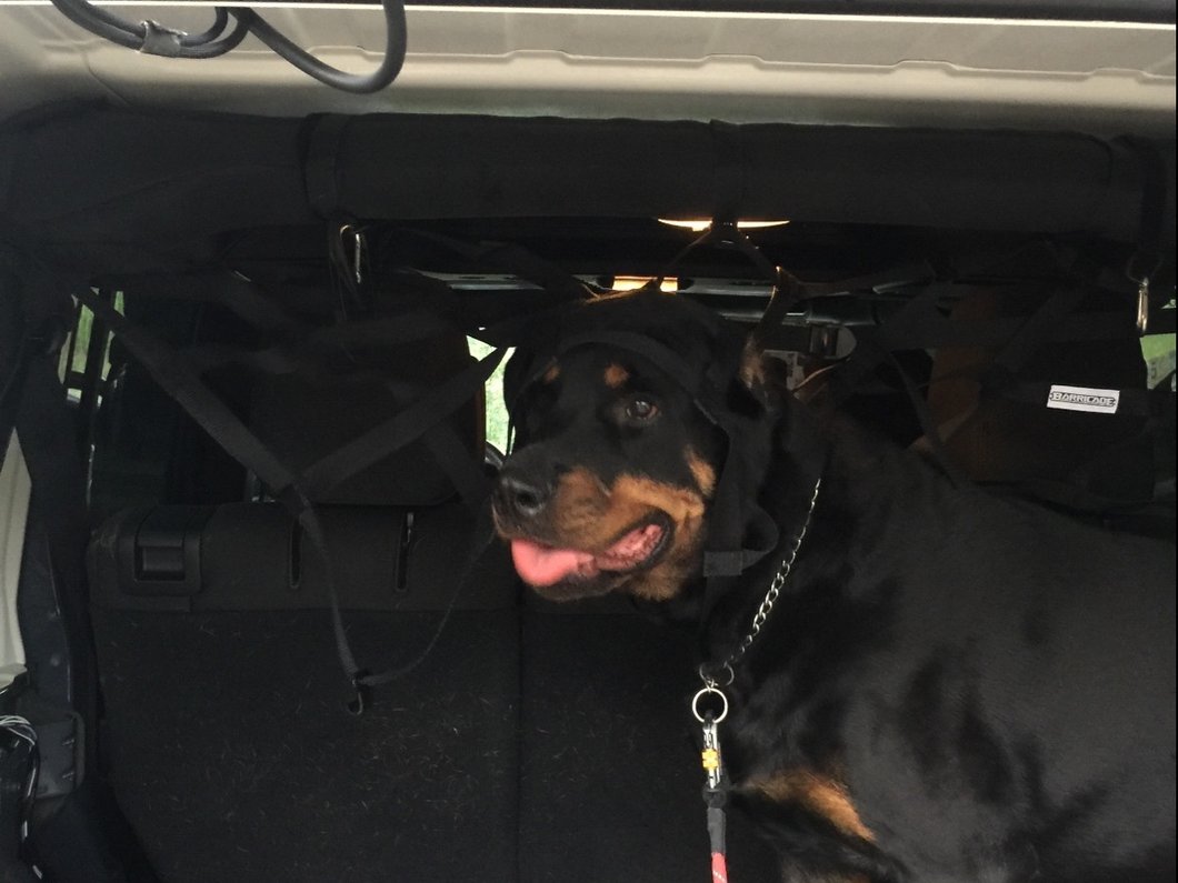 RedRock Rear Pet Barrier Net; Black (07-18 Jeep Wrangler JK 4-Door)