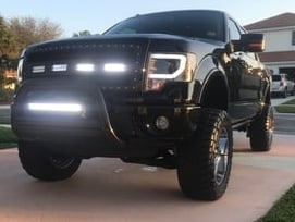 RedRock Wire Mesh Upper Grille Insert, Rivets and LED Lighting; Black (09-14 F-150, Excluding Raptor)