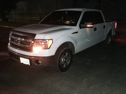 RedRock Performance Powered Heated Mirrors with LED Signals; Chrome (04-12 F-150)