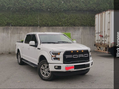 RedRock Baja Lower Grille Insert; Charcoal (15-17 F-150, Excluding Raptor)