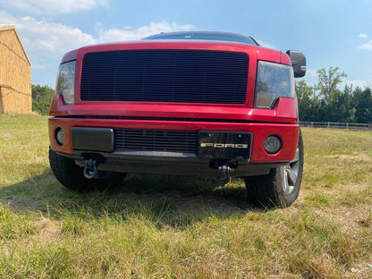 RedRock Stainless Steel License Plate with Silver FORD Lettering (Universal; Some Adaptation May Be Required)