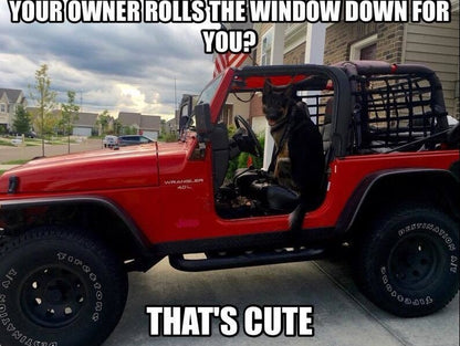 RedRock Cargo Wrap Around Net; One Piece (92-06 Jeep Wrangler YJ & TJ)