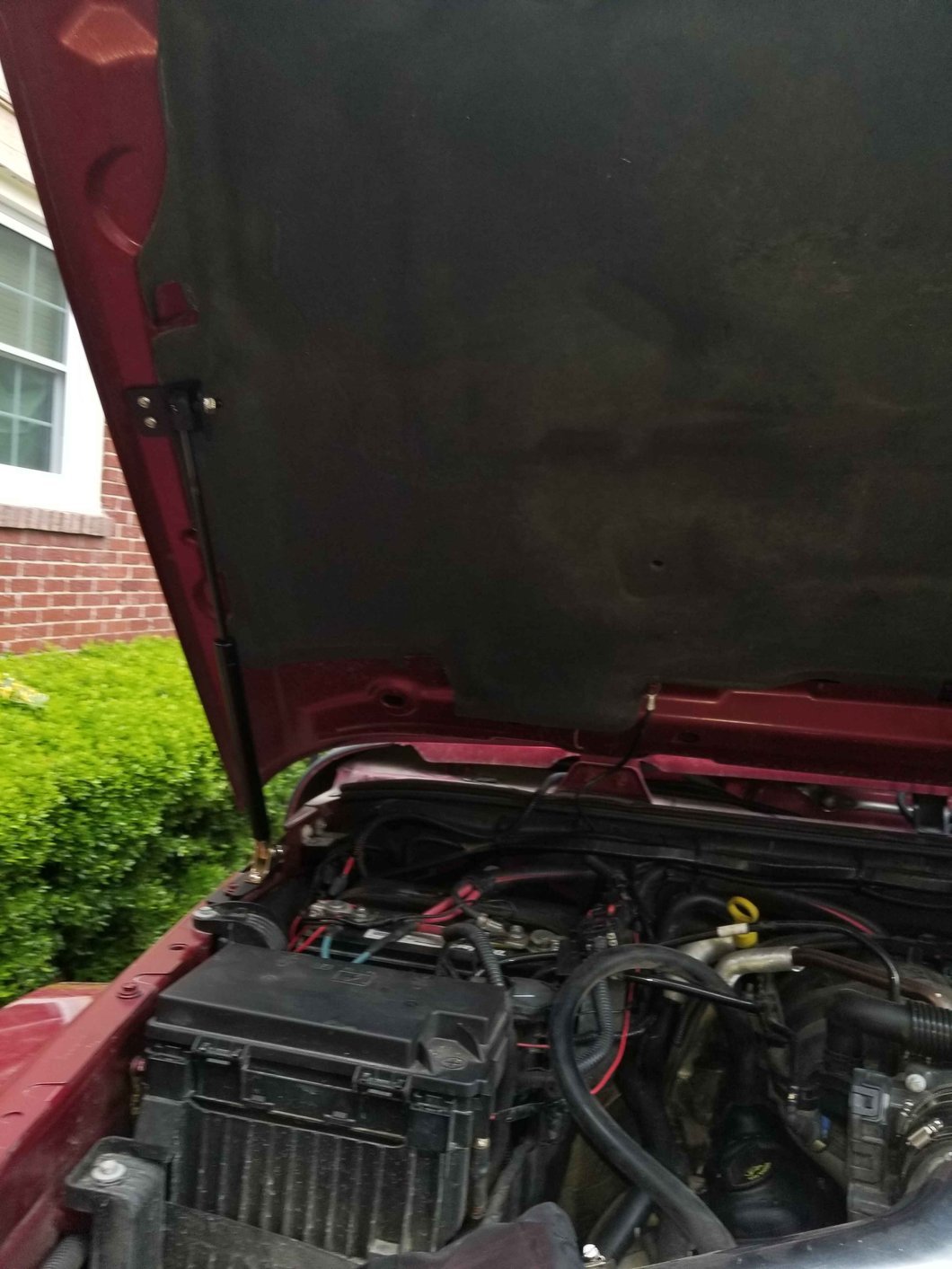 RedRock Hood Struts (11-18 Jeep Wrangler JK)