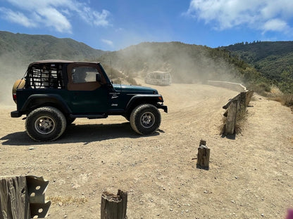 RedRock Complete Netting Kit (92-06 Jeep Wrangler YJ & TJ)
