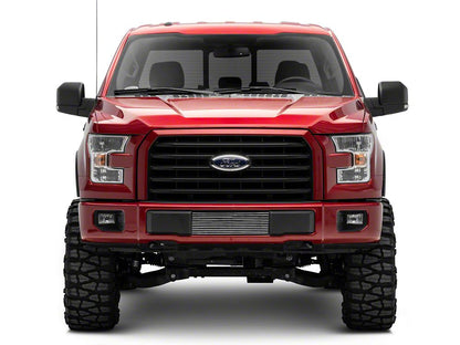 RedRock Modern Billet Lower Grille Insert; Polished (15-17 F-150, Excluding Raptor)